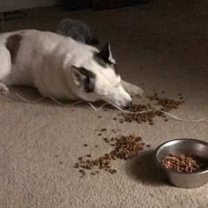 Meet your Posher, Jasmine